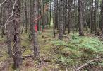 Resource #202517867: image #4
