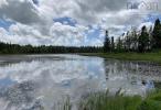 Resource #202507662: image #10