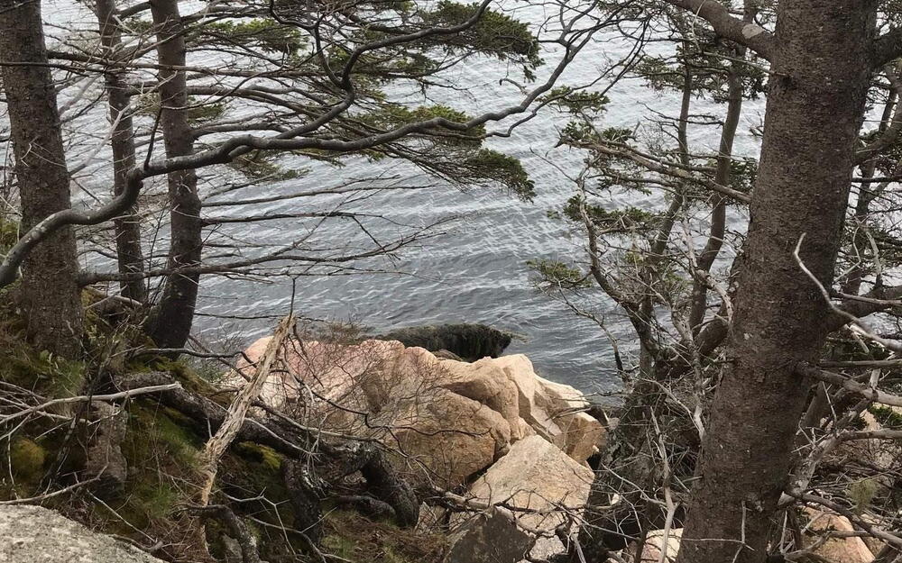 View of nature