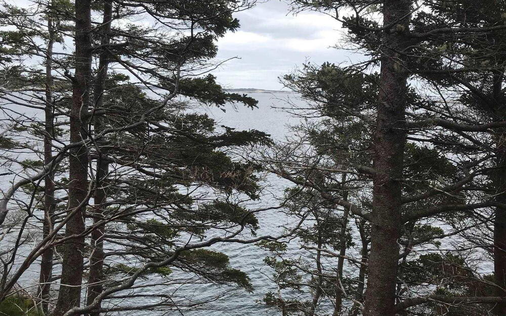 Water view